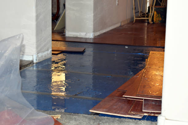 Professional Flood Damage Repair technician working in Elkton, MI